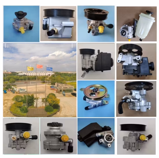 Power Steering Pump for Benz/Buick/Chevrolet/BMW/Landrover/Jeep/Chrysler/Volvo/Ford/Porsche/Bentley/Dodge/FIAT/Opel