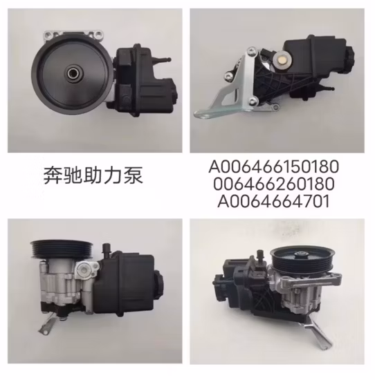 Power Steering Pump for Benz/Buick/Chevrolet/BMW/Landrover/Jeep/Chrysler/Volvo/Ford/Porsche/Bentley/Dodge/FIAT/Opel